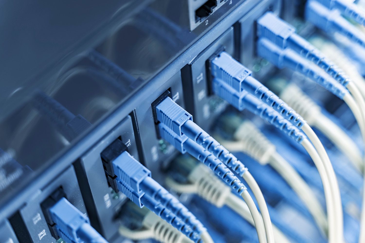 Network switch with structured cabling patch cords